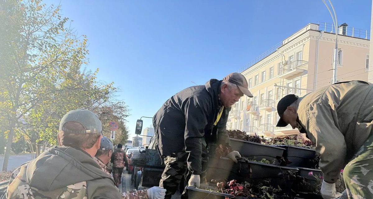 В центре Тамбова начали снимать цветочные кашпо и увозить их до следующего сезона