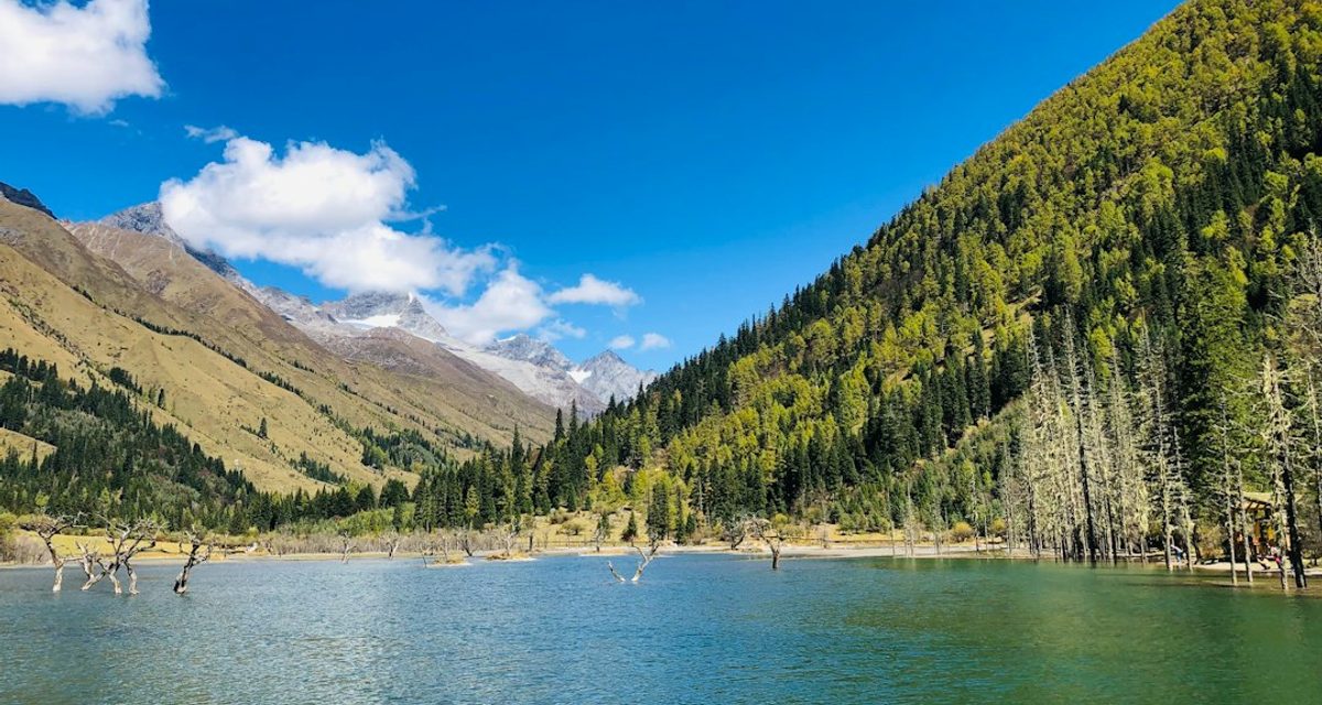 На Ласковском карьере, где жарят шашлыки, убрали мусор, ветки и листву