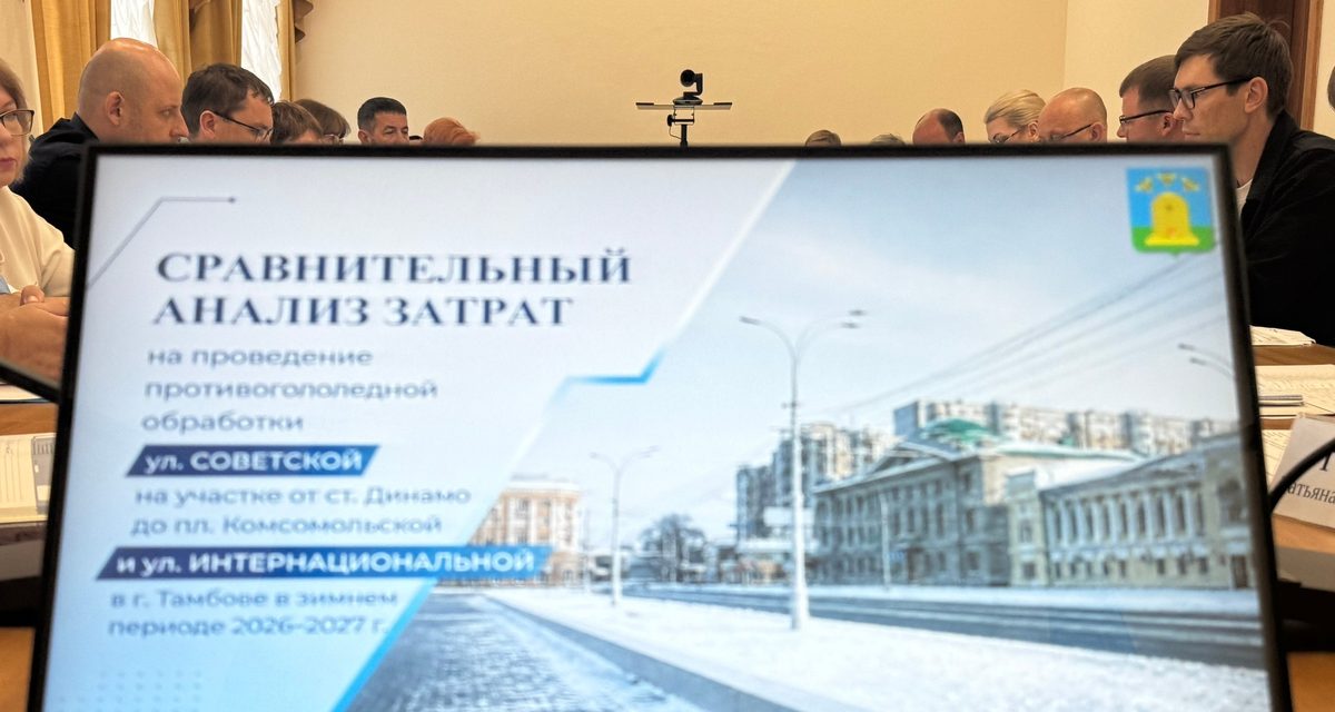 Центральные улицы Тамбова зимой будут обрабатывать реагентом